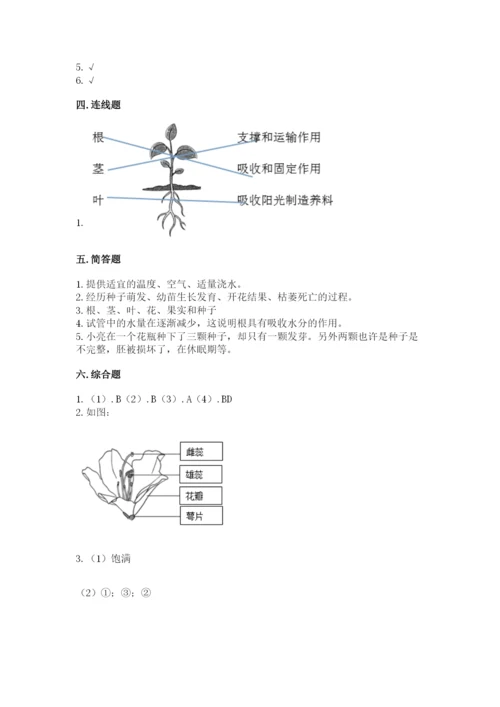 科学四年级下册第一单元植物的生长变化测试卷（名师推荐）.docx