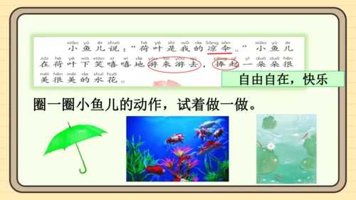 12 荷叶圆圆（课件）