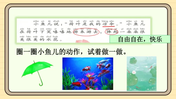12 荷叶圆圆（课件）