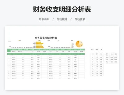 财务收支明细分析表