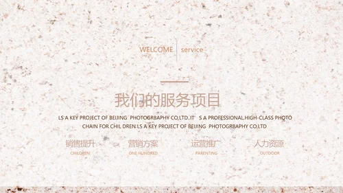 简约室内设计方案汇报工作总结PPT