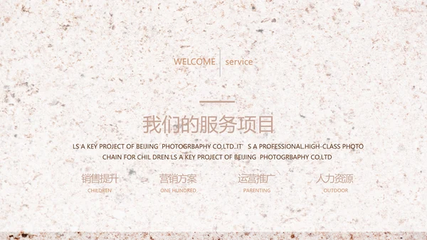 简约室内设计方案汇报工作总结PPT