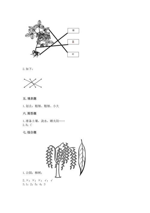 教科版科学一年级上册第一单元《植物》测试卷及参考答案（精练）.docx