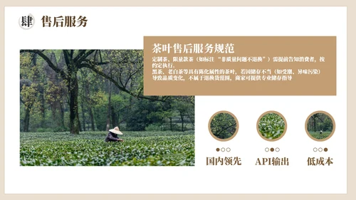 棕色茶产品介绍宣传PPT模板