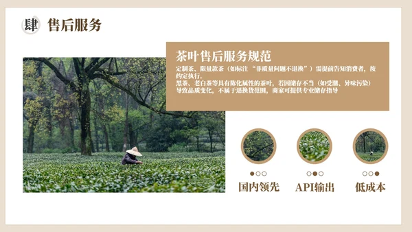 棕色茶产品介绍宣传PPT模板