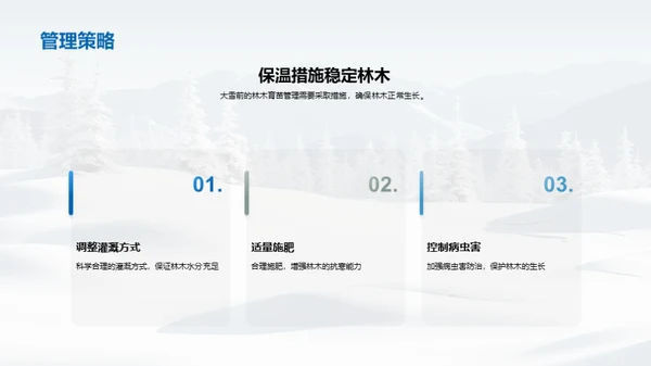 雪季养护：林木育苗秘籍