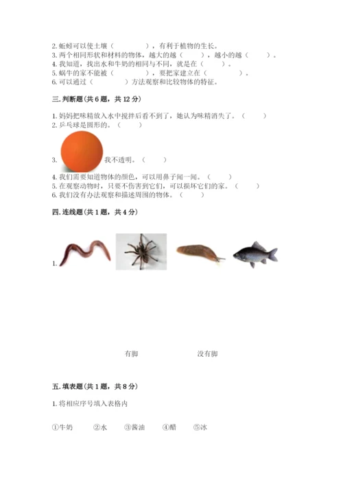 教科版小学科学一年级下册期末测试卷附答案（模拟题）.docx