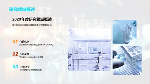 202X化学研究回顾与展望