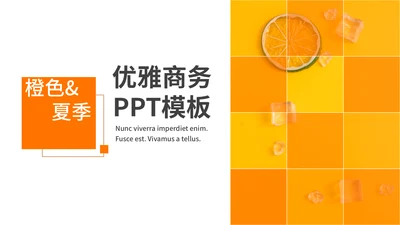 橙色夏季风优雅商务工作汇报通用PPT模板