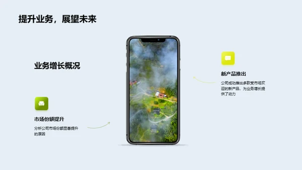 公司年度绩效回顾