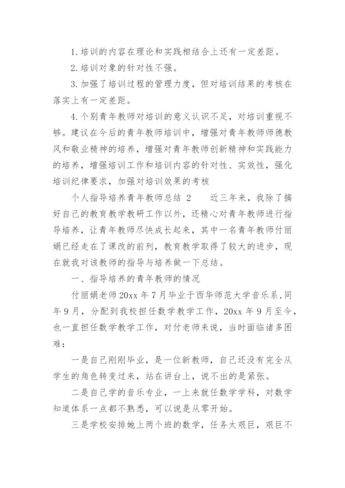 个人指导培养青年教师总结.docx