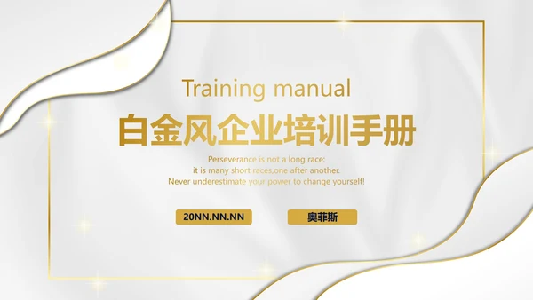 白金丝绸纹理奢华PPT模板
