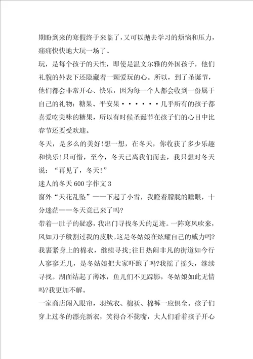 迷人的冬天600字作文