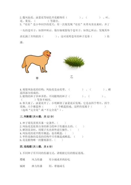 科学四年级下册第一单元植物的生长变化测试卷必考.docx