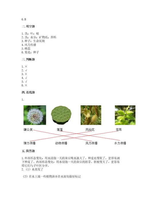 科学四年级下册第一单元《植物的生长变化》测试卷附答案（研优卷）