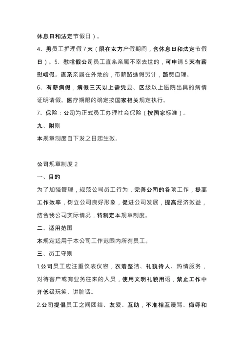 公司规章制度 (1)