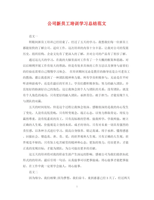 精编之公司新员工培训学习总结范文.docx