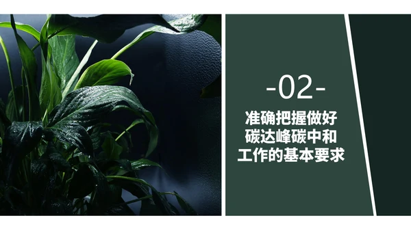 低碳经济碳达峰碳中和新理念PPT党课