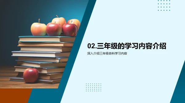 三年级学习全攻略