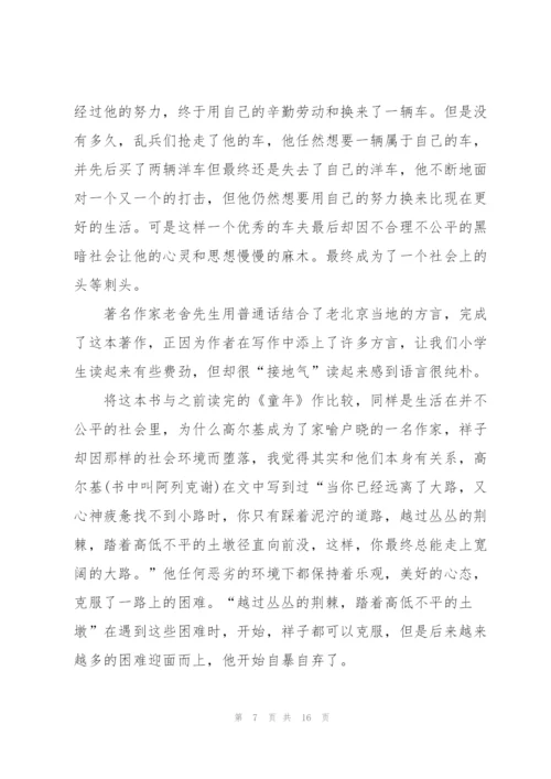 暑假骆驼祥子阅读心得10篇.docx