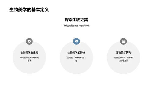生物美学在科技中的应用