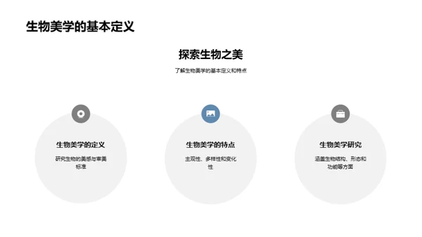 生物美学在科技中的应用