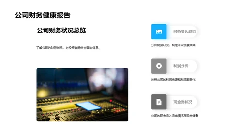 财务策略的全景分析