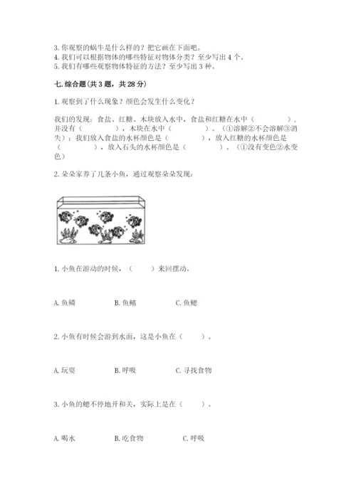 教科版一年级下册科学期末测试卷附参考答案【模拟题】.docx