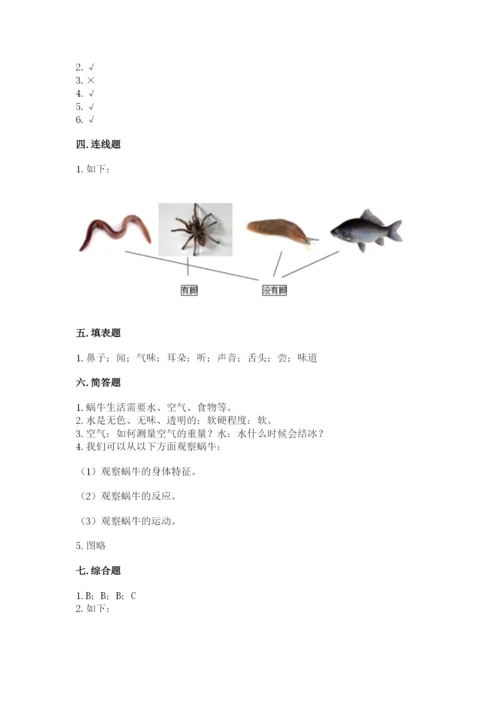 教科版一年级下册科学期末测试卷附参考答案【培优a卷】.docx