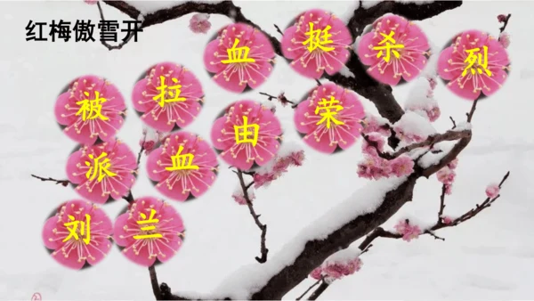 第18课 《刘胡兰》  课件