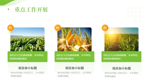 全面推进乡村振兴，田间经济通用PPT模板