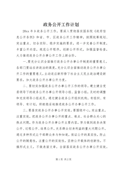 政务公开工作计划 (4).docx