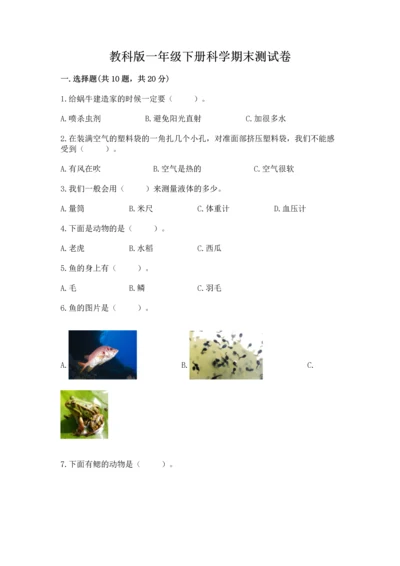 教科版一年级下册科学期末测试卷及参考答案（巩固）.docx