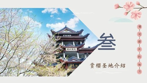 岛国之旅浪漫樱花季通用PPT模板