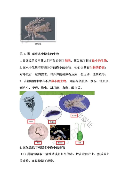教科版六年级科学上册第一单元《微小世界》