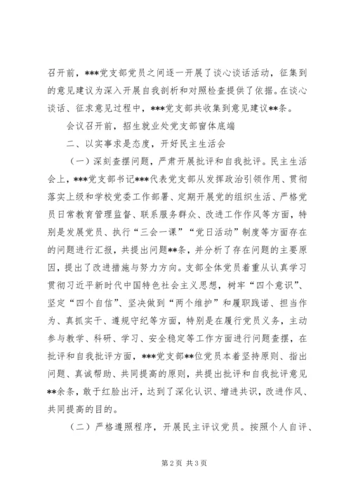 关于党支部召开民主生活会和组织生活会及民主评议党员情况报告.docx