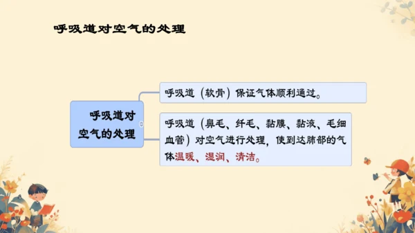 4.3.1 呼吸道对空气的处理课件(共16张PPT)人教版七年级下册