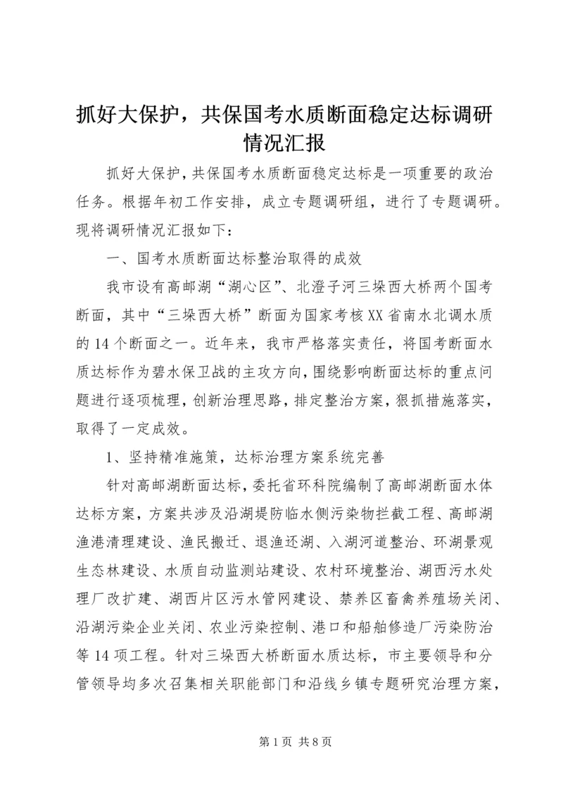 抓好大保护，共保国考水质断面稳定达标调研情况汇报.docx