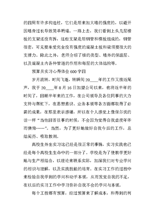 预算员实习心得体会600字