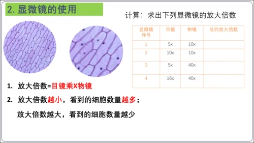 【2023秋人教七上生物期中复习考点梳理串讲+临考押题】第一章 细胞是生命活动的基本单位（串讲课件）