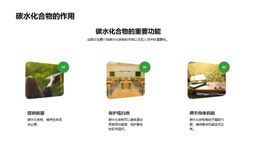 营养解析与健康饮食