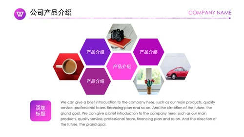 紫色神秘商业项目计划书通用PPT模板