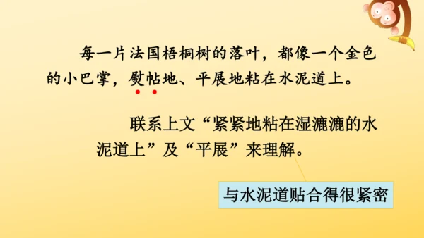 5《铺满金色巴掌的水泥道》   课件