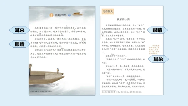 部编版三年级语文上册 第五单元习作例文：我家的小狗  课件