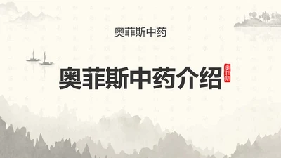 中国风中医药医疗保健产品介绍