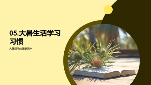 大暑生活指南