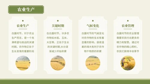 绿色中国风风格白露秋俗韵味悠长PPT模板
