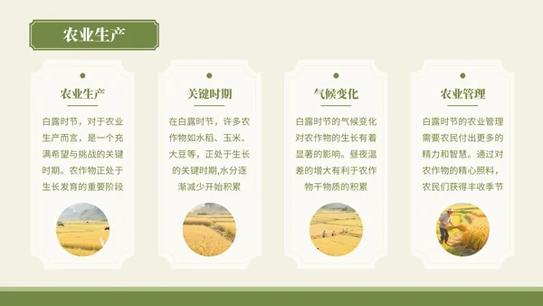 绿色中国风风格白露秋俗韵味悠长PPT模板