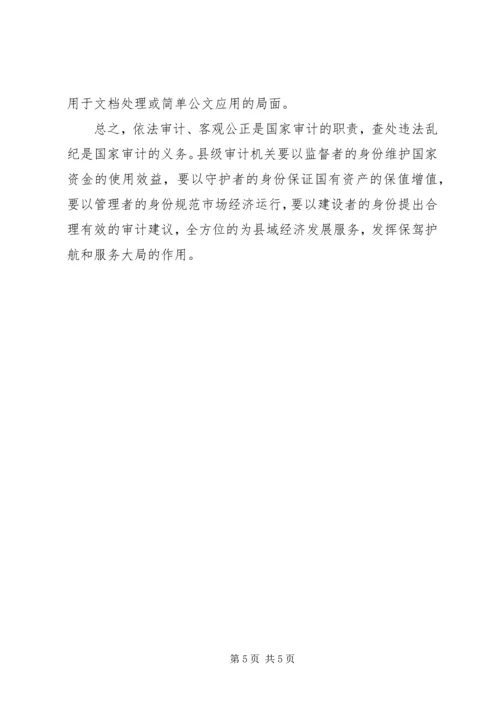 县级审计工作可持续发展调研报告.docx