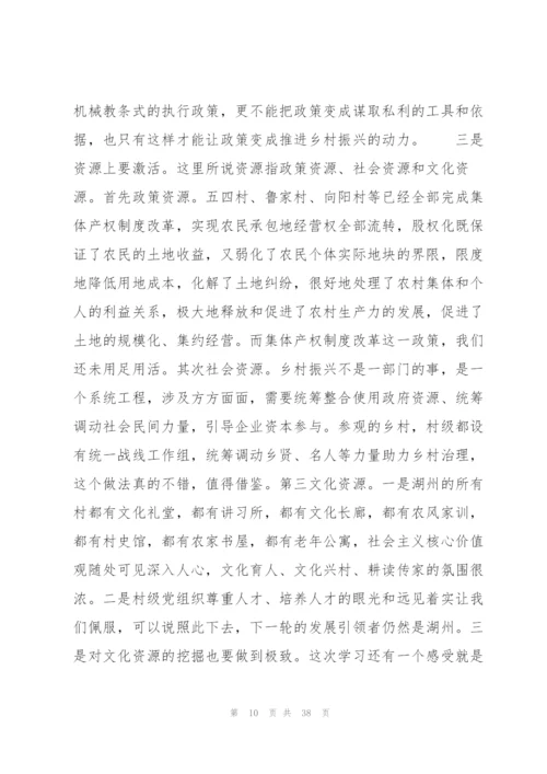 青春跟党走,助力乡村振兴实践报告2000字范文(通用10篇).docx